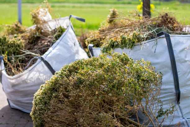 Best Commercial Cleanout Services  in Royston, GA